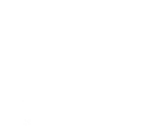 STOCK YARD OPEN DAY 新木場駅徒歩1分の木材ストックヤードに遊びに来ませんか。